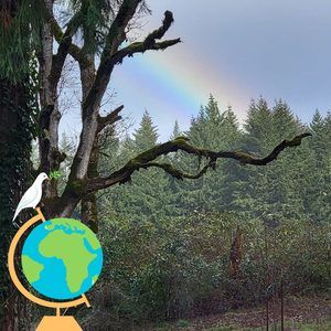 Meet your Posher, Frankie